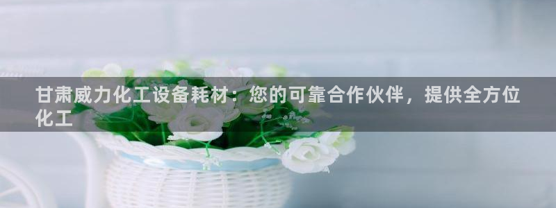 新城平台注册公司流程视频