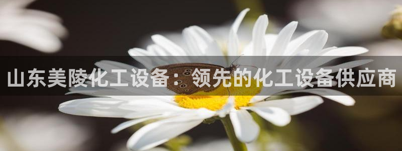 新城平台注册登录地址怎么填