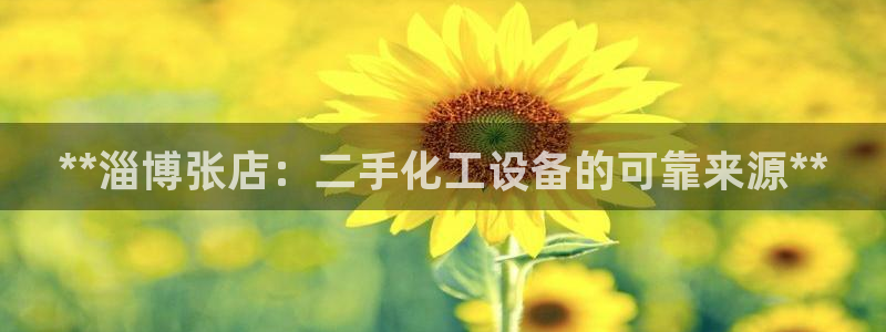 新城平台平台最新活动有哪些