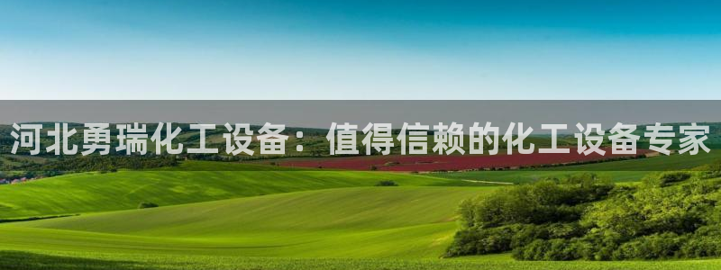 新城平台