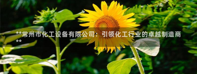 新城平台登录入口官网首页