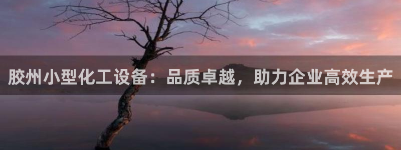 新城平台注册登录地址在哪