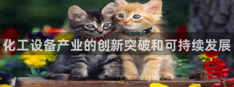 新城平台官网注册