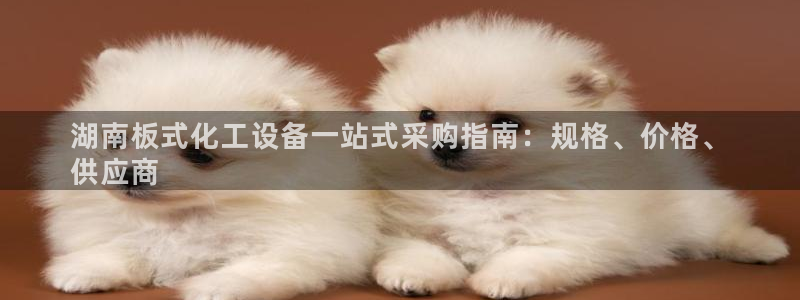 新城平台公司