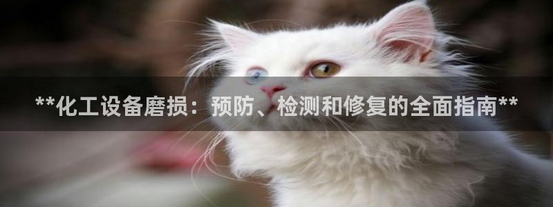 新城平台登录入口官网首页