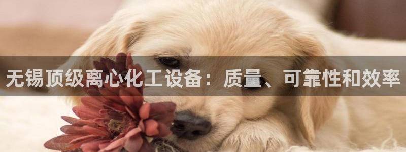新城平台平台