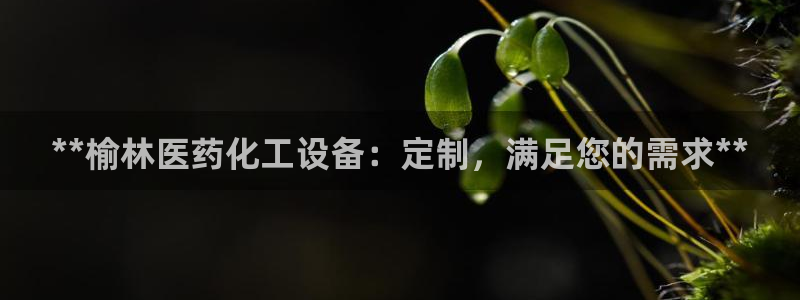 新城平台致7O777