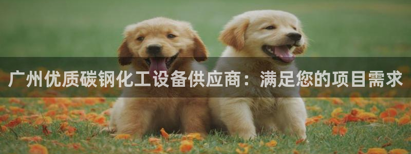 新城平台日7O777