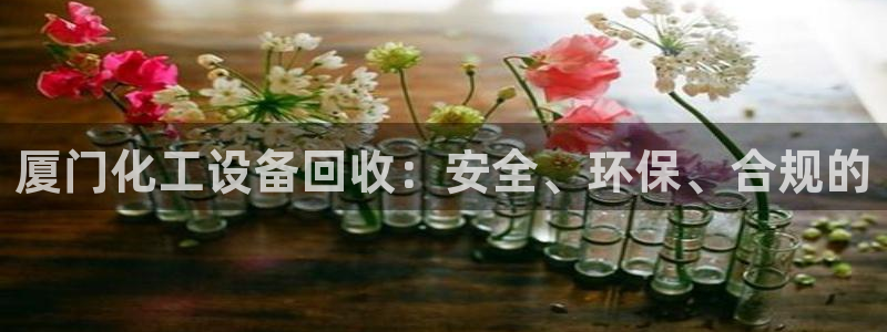 新城平台负责人名单