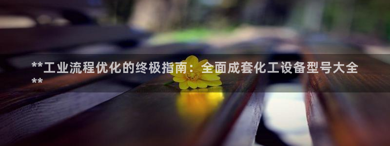 新城平台是干嘛的公司