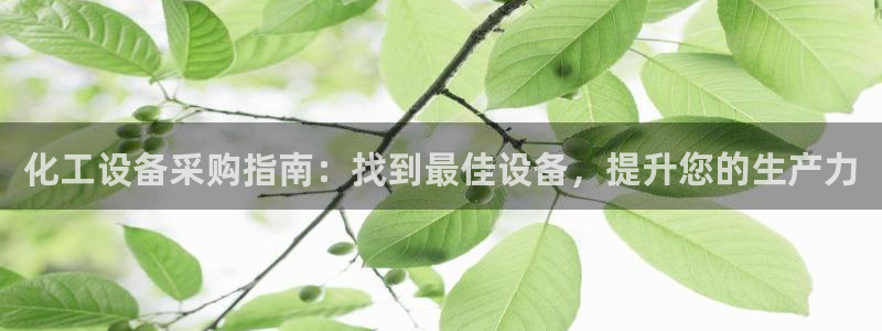 新城平台总代