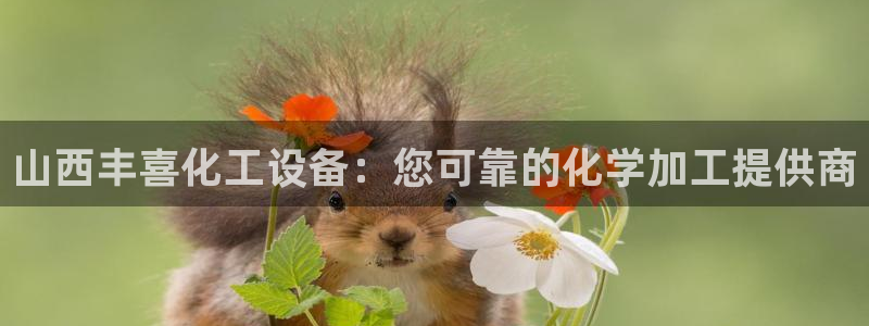 新城平台登录入口官网网址查询