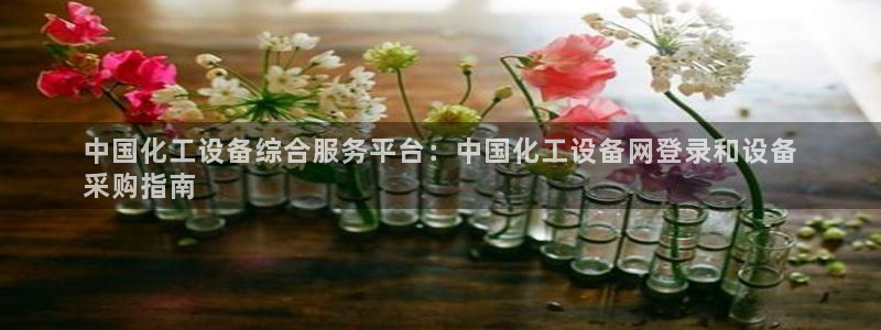 新城平台注册公司流程图