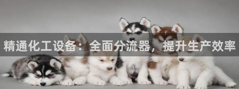 新城平台致7O777