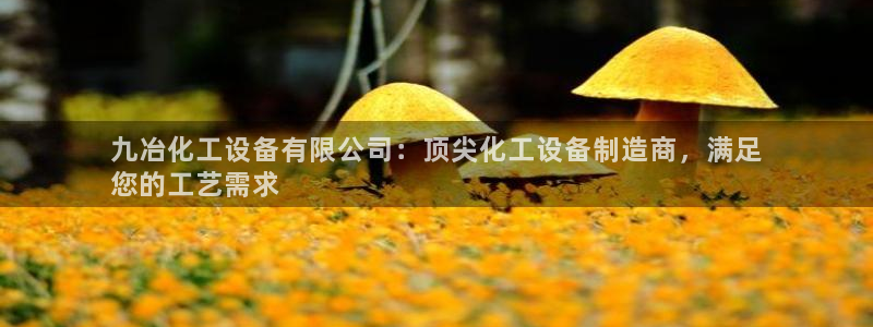 新城平台平台