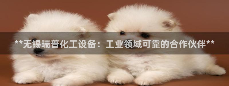新城平台登录入口官网下载app