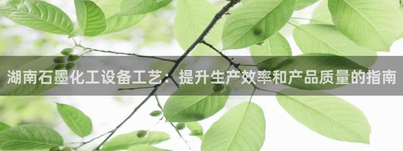 新城平台代理注册条件