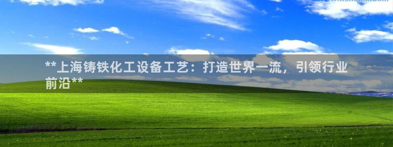 新城平台负责人电话