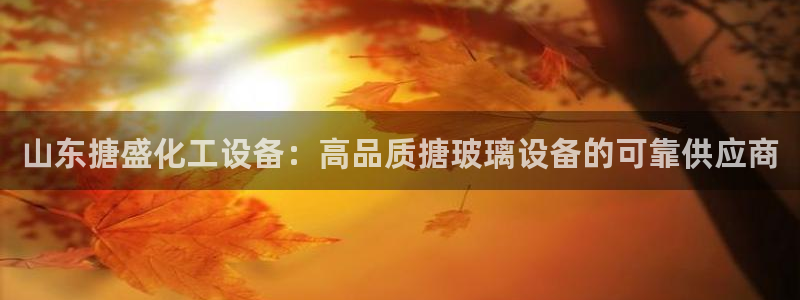 新城平台是正规平台吗