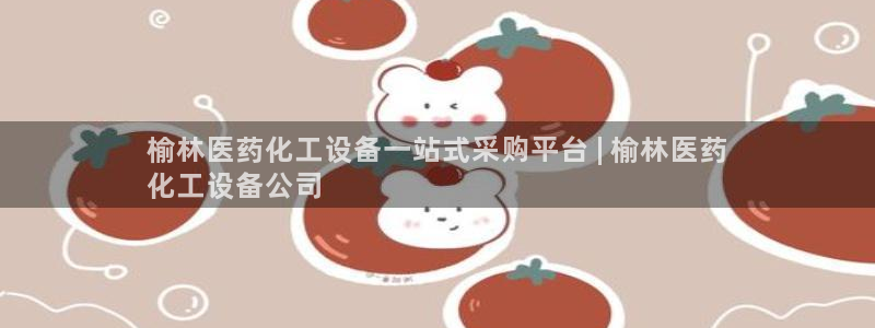 新城平台总代理是谁