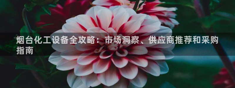 新城平台日7O777