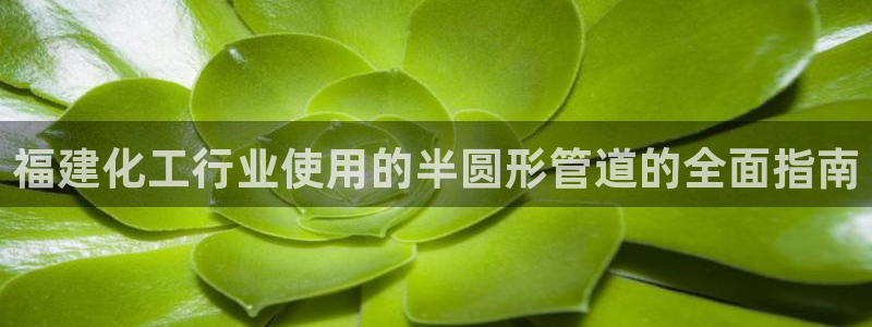 新城平台登录入口官网查询信息