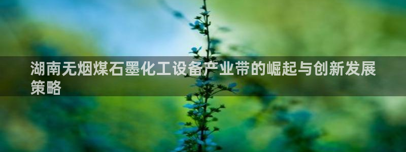 新城平台授权注册
