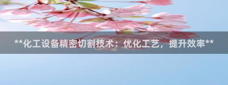 新城平台注册登录地址怎么填：**化工设备精密切割技