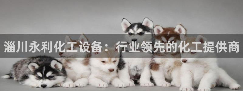 新城平台注册流程视频
