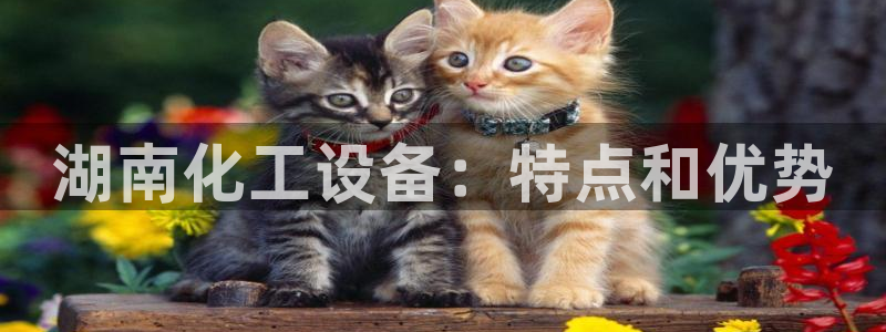 新城平台总代理是谁
