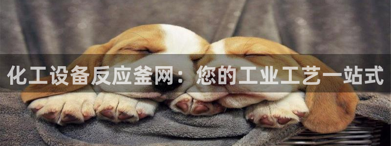 新城平台线路登录