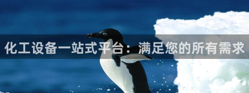 新城平台登录入口官网首页