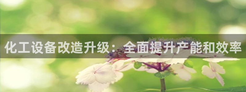 新城平台代理怎么样