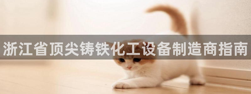 新城平台是干嘛的公司啊