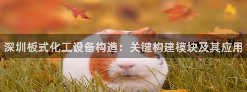 新城平台登录入口网址：深圳板式化工设备构造：关键构