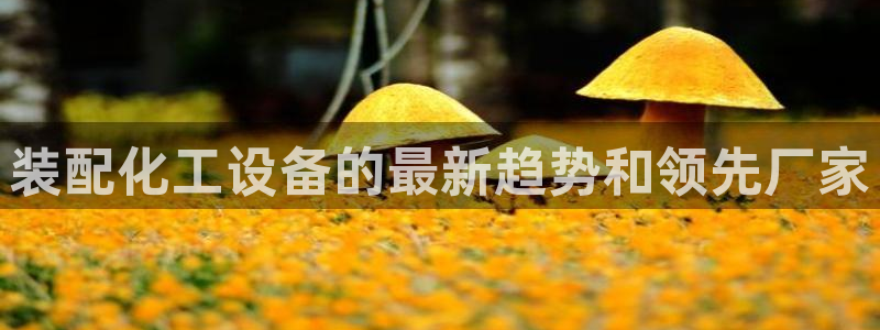 新城平台线路登录不上去怎么回事呢