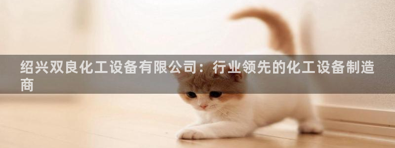 新城平台线路登录不上去了怎么办