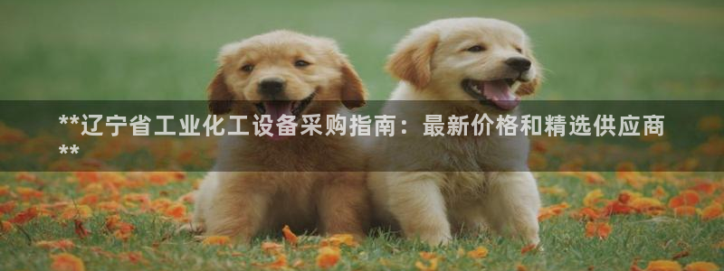 新城平台负责人是谁