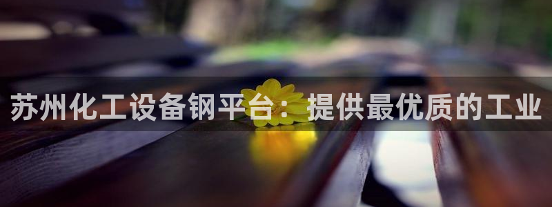 新城平台登录入口官网下载app
