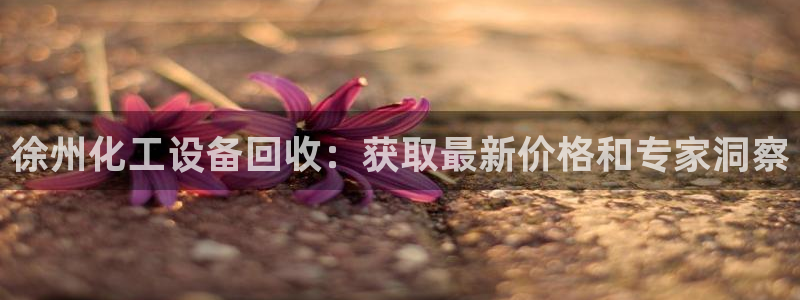 新城平台官网注册入口
