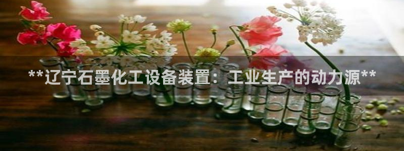 新城平台登录入口官网查询