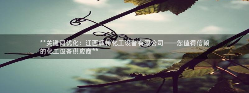 新城平台登录入口官网下载app：**关键词优化：江西辉特化工