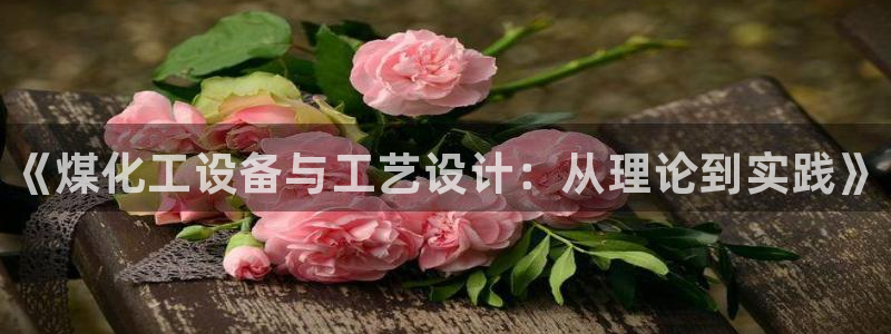 新城平台属于哪个系列