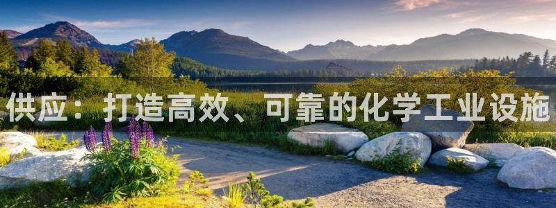 新城平台官网注册账号