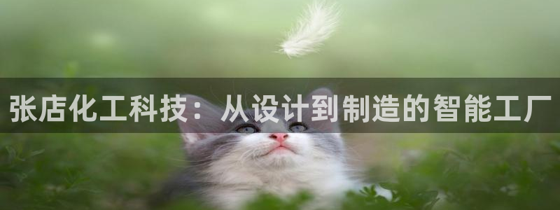 新城平台登录入口：张店化工科技：从设计到制造的智能工厂
