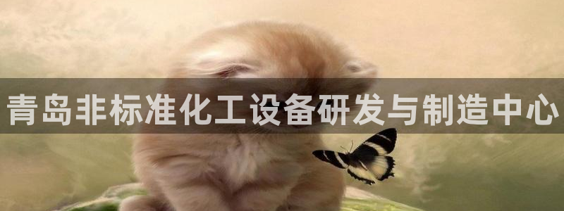 新城平台登录入口