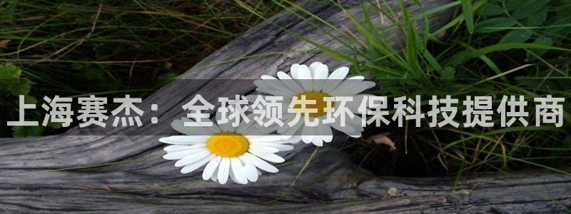 新城平台登录入口官网首页查询