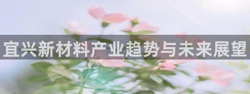 新城平台注册公司流程图