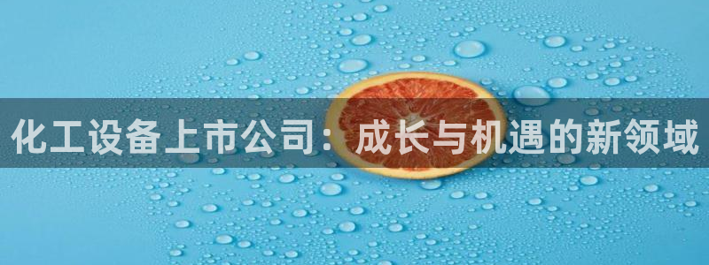 新城平台登录入口官网首页查询