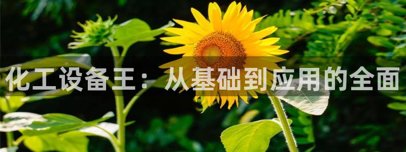 新城平台注册流程视频：化工设备王：从基础到应用的全